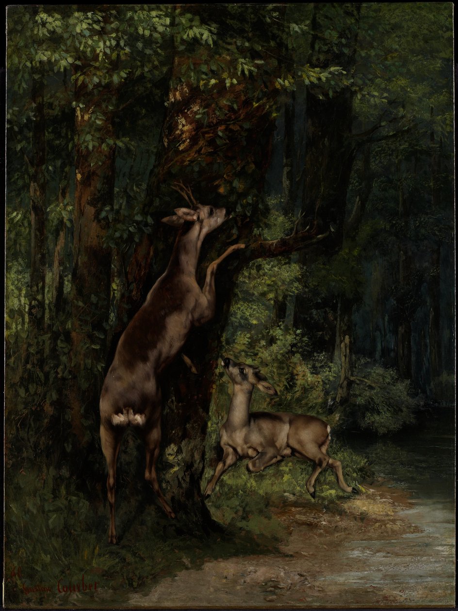 Herten in het bos door Gustave Courbet