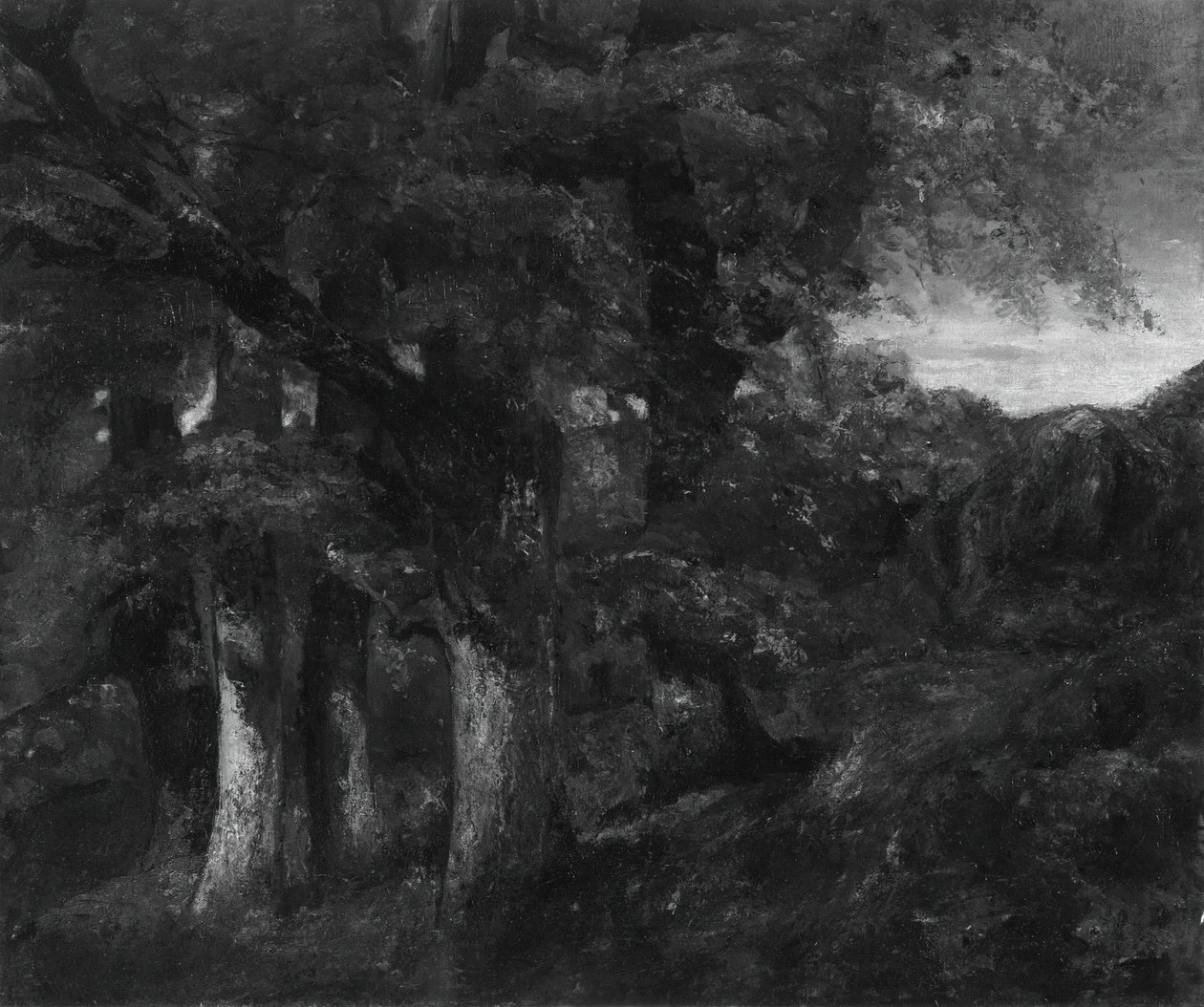Bosrijk Landschap door Gustave Courbet