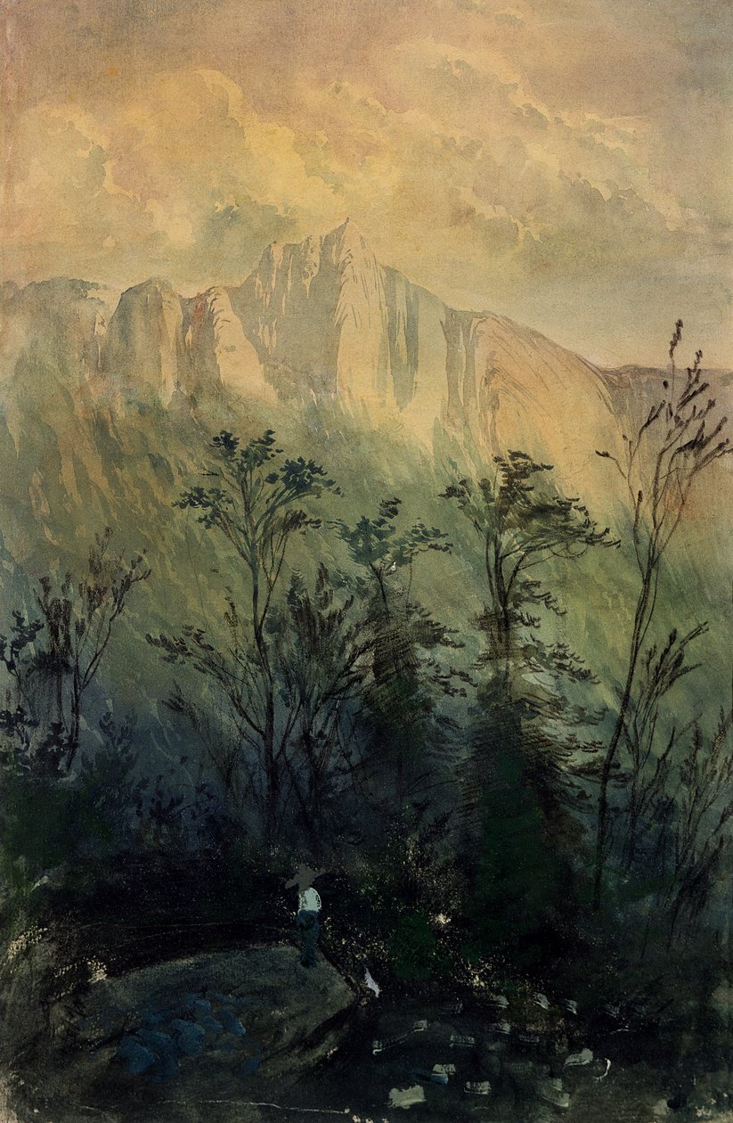 Landschap in de Vogezen, c.1883 door Gustave Dore