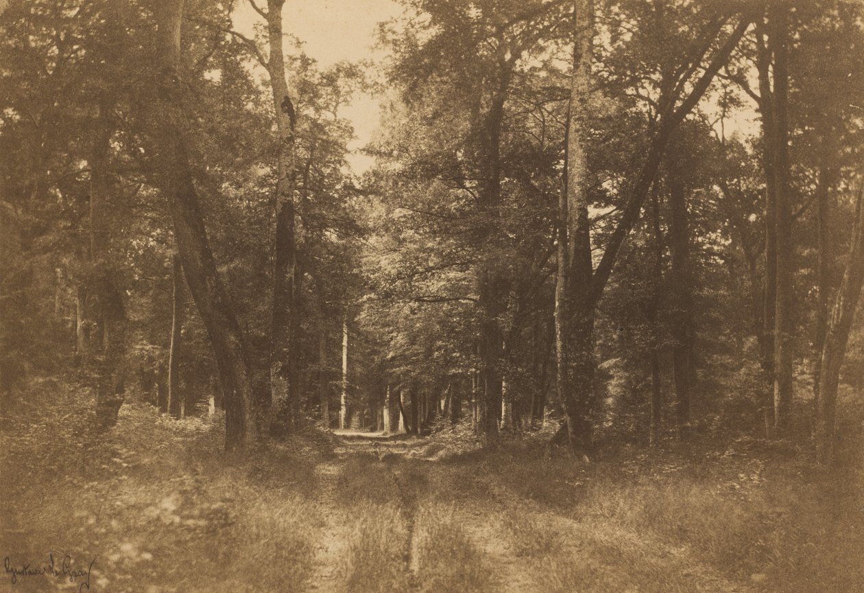Bas-Bréau, Bos van Fontainebleau, 1849-1852 door Gustave Le Gray