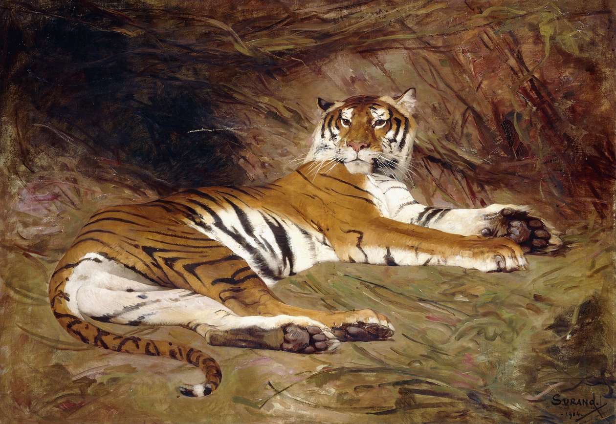 Een Liggende Tijger door Gustave Surand