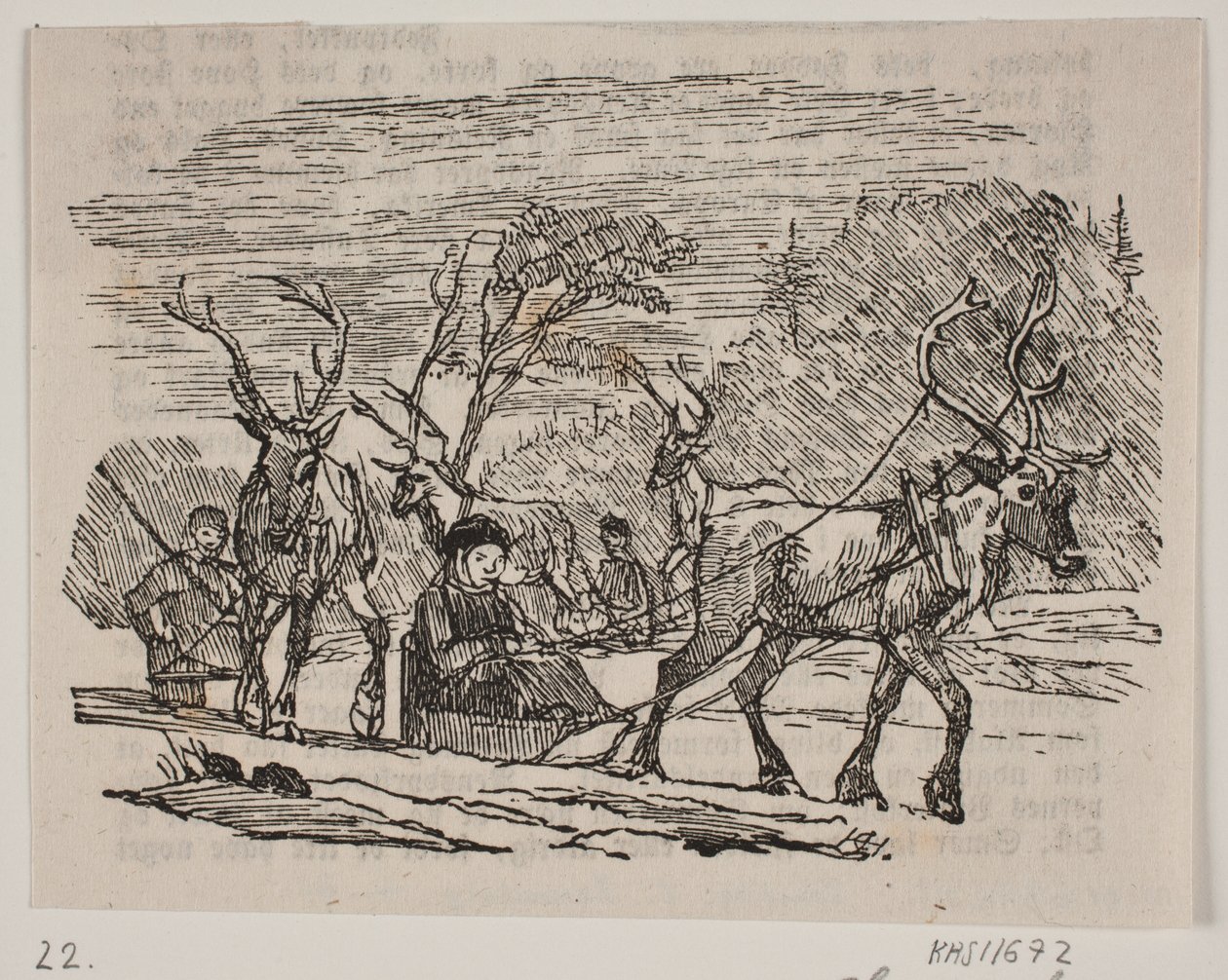 Slede rijden met rendieren door H. C. Henneberg