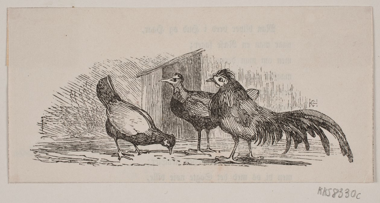Drie kippen door H. C. Henneberg