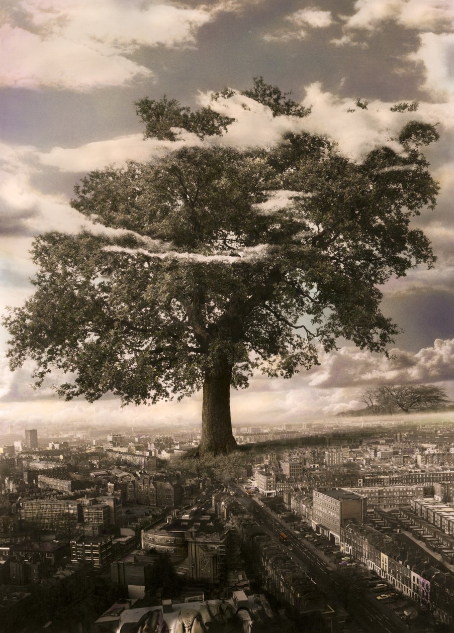 De boom in Islington door Hag Hag