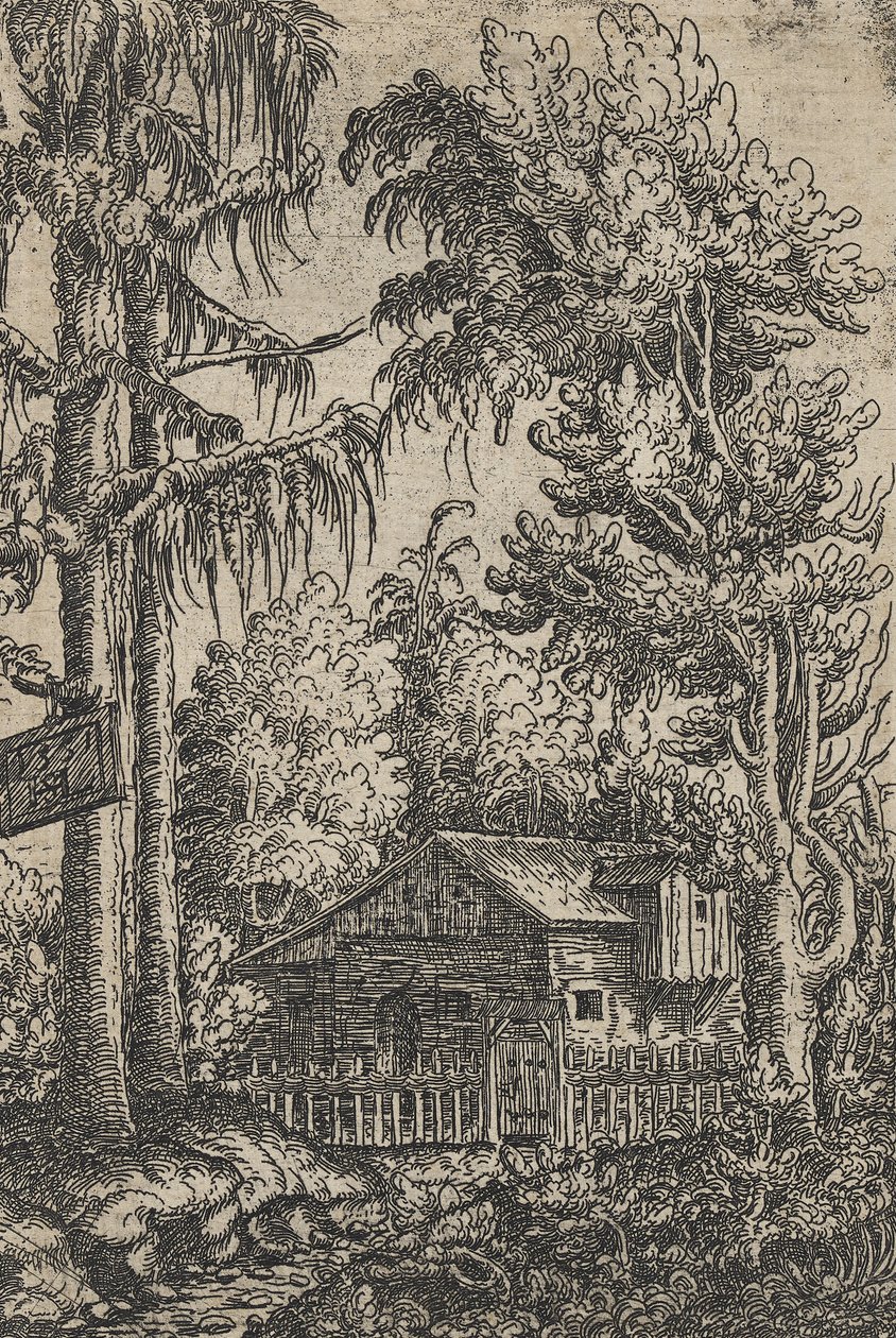Een hut en twee dennen door Hanns Sebald Lautensack