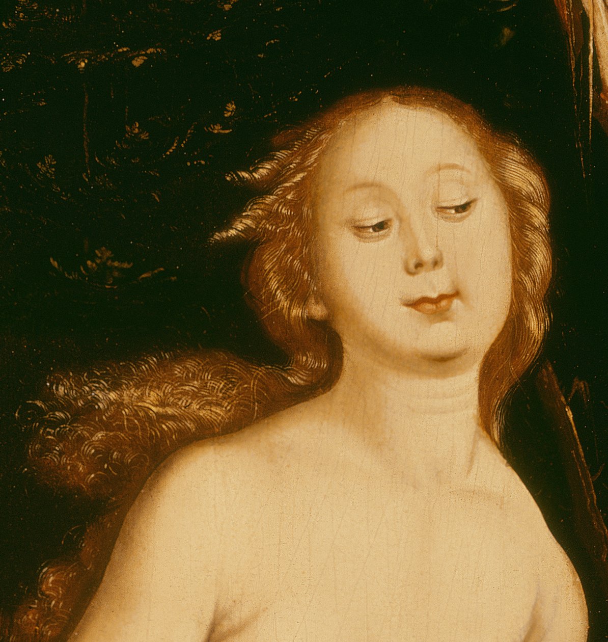 Detail van Eva, de slang en de dood (detail) door Hans Baldung Grien
