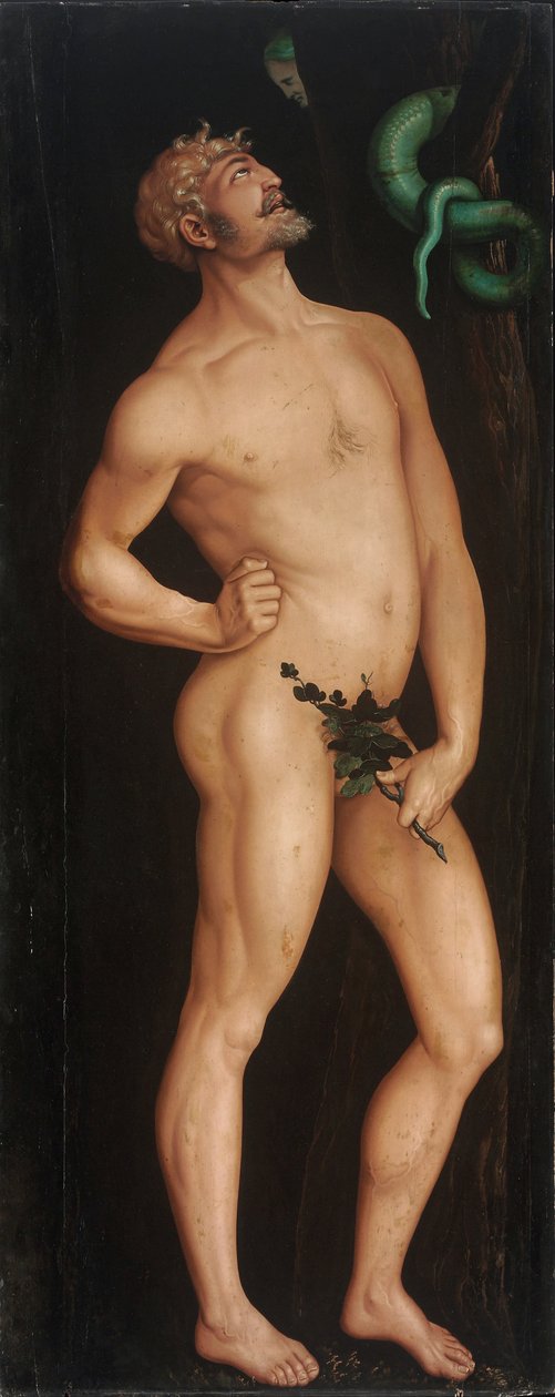 Adam door Hans Baldung Grien