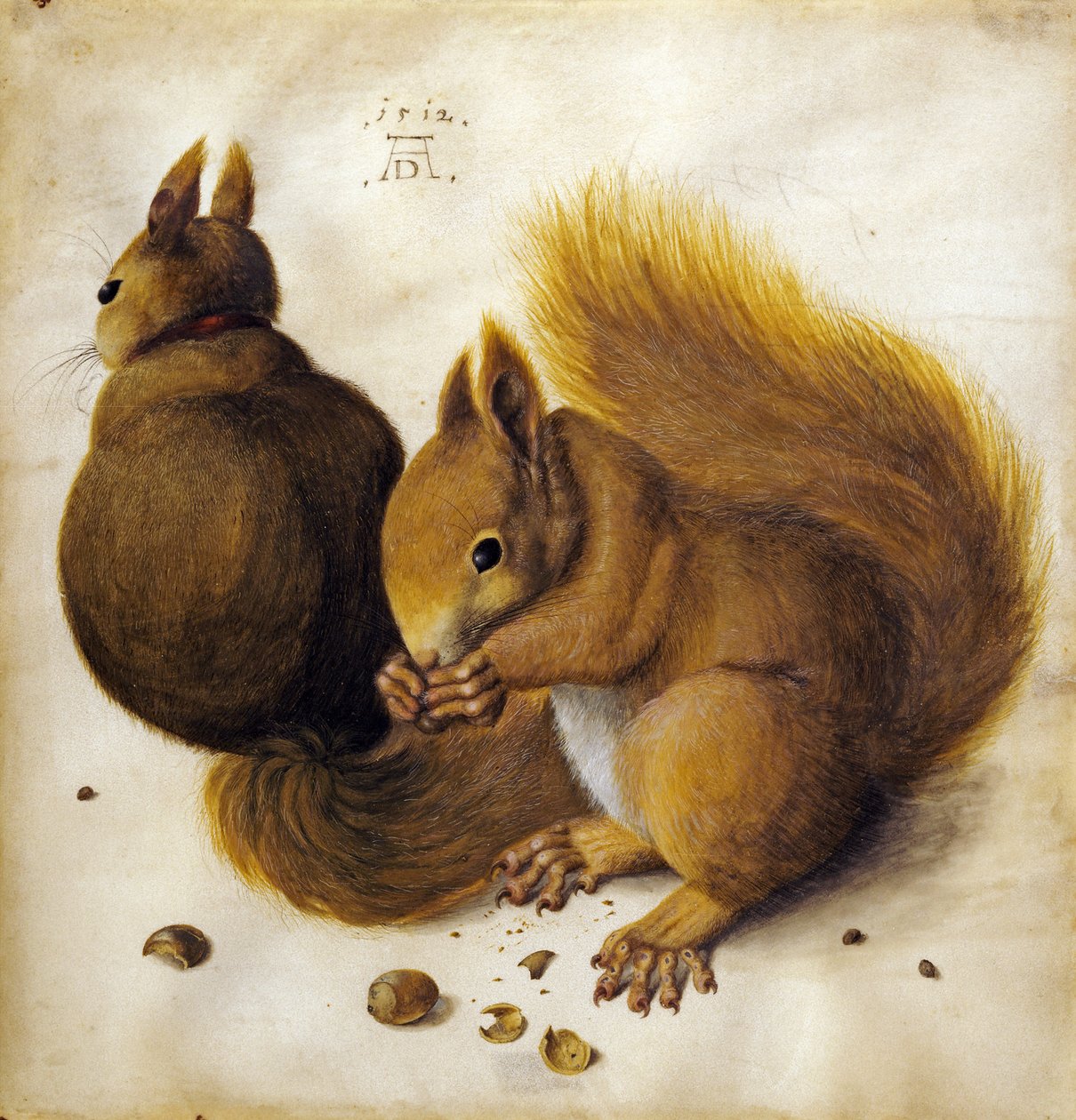 Twee eekhoorns door Hans Hoffmann