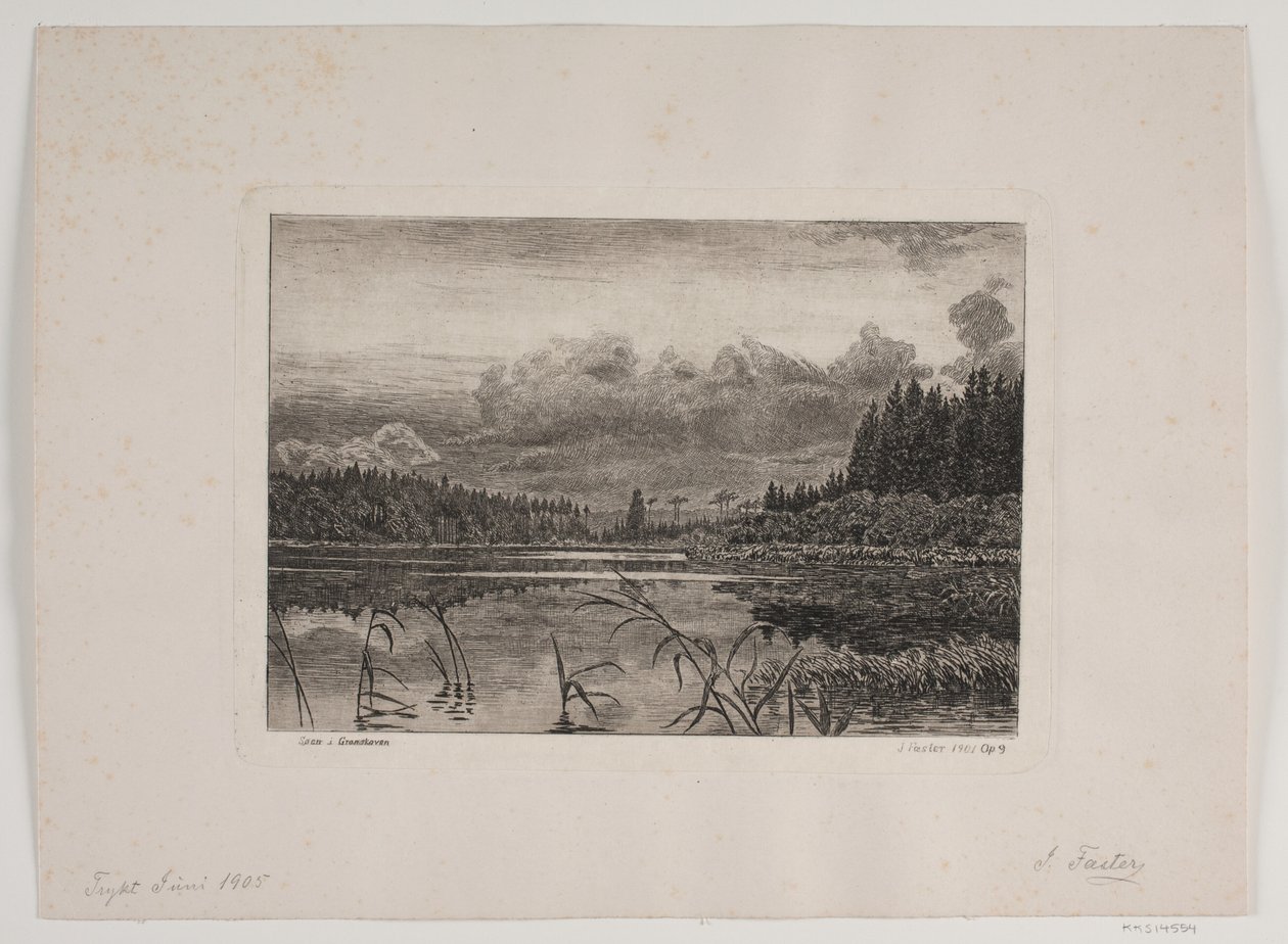 Het Meer in het Dennenbos door Hans Julius Fæster