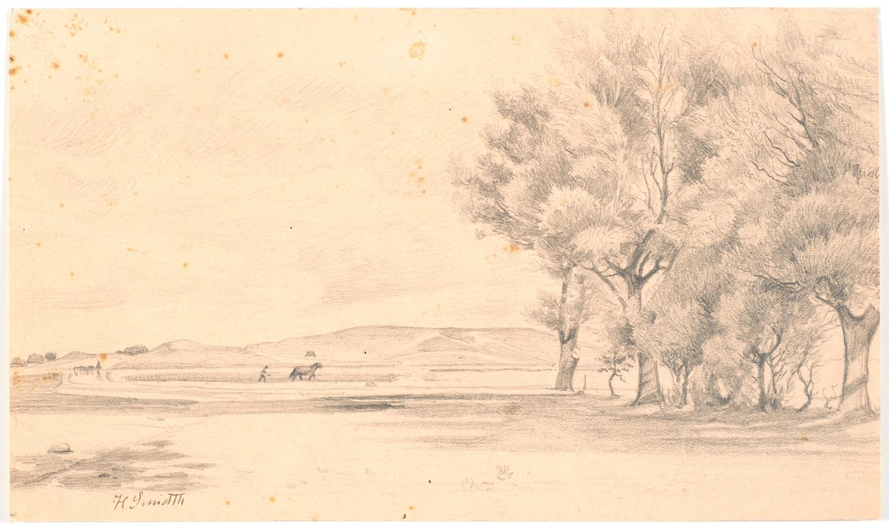 Landschap met ploegveld; rechts hoge bomen door Hans Smidth