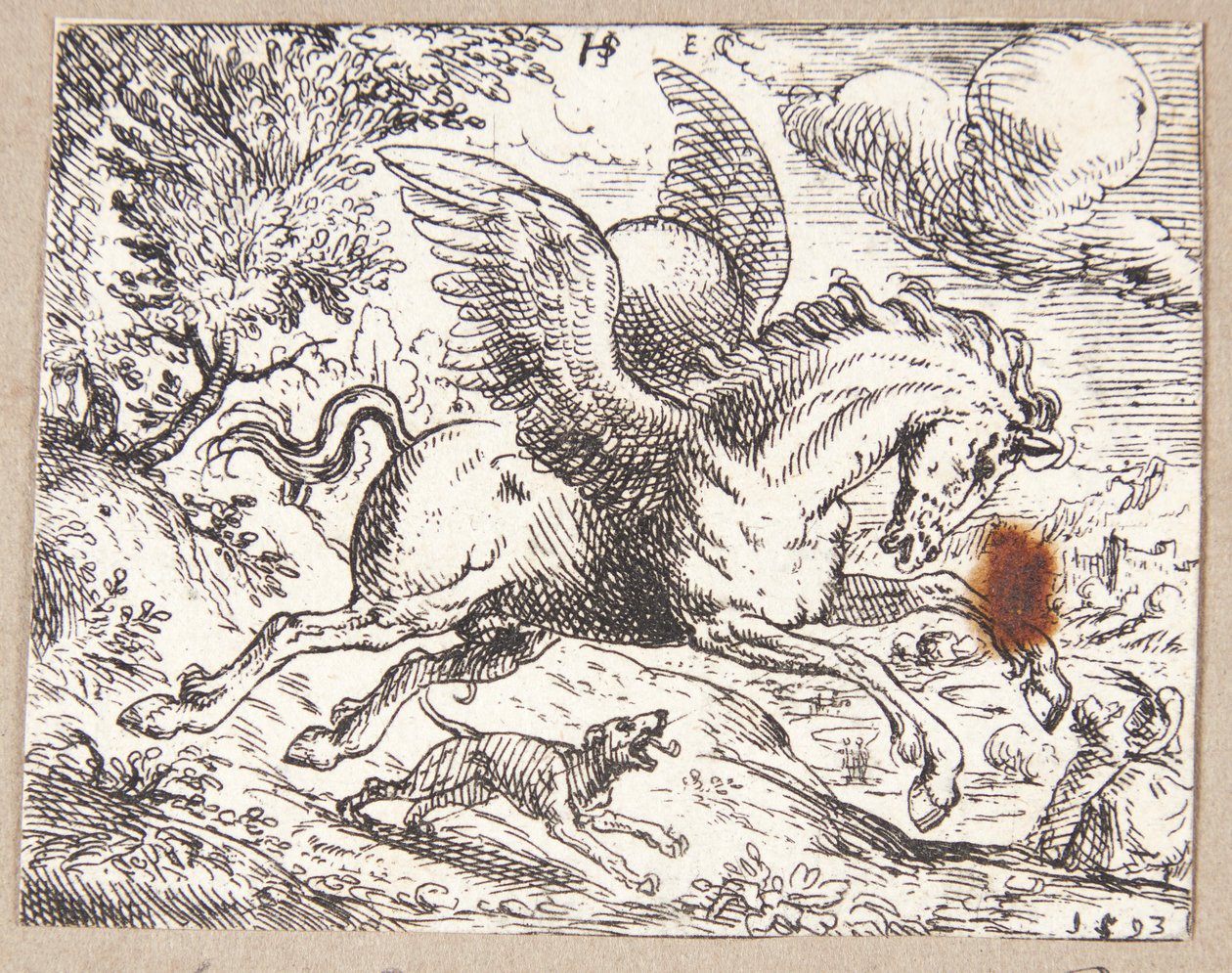 Pegasus door Hans Strohmayer