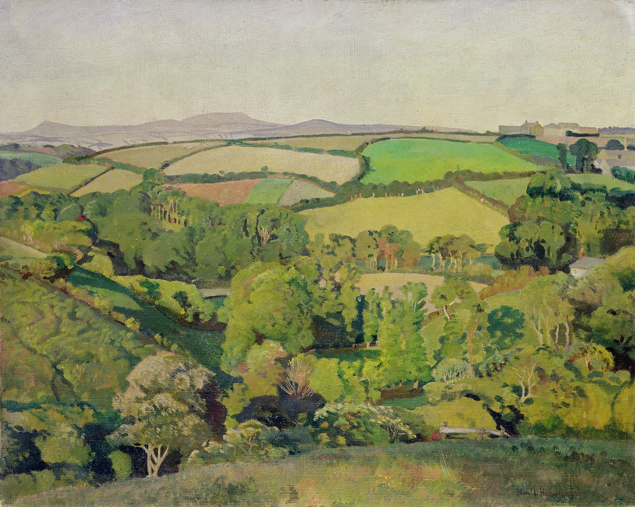 Driftvallei door Harold Harvey