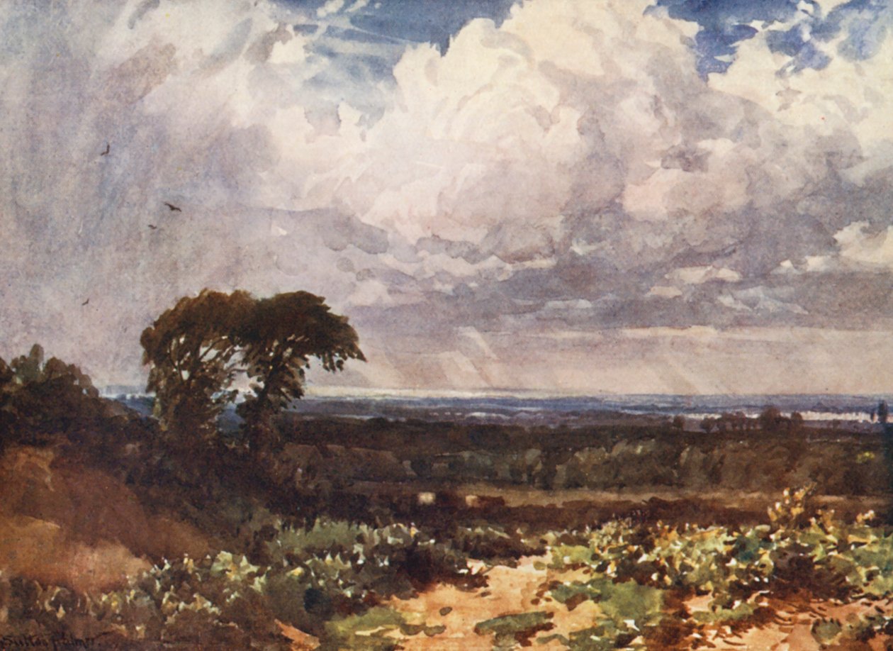 De wolk (kleur litho) door Harold Sutton Palmer