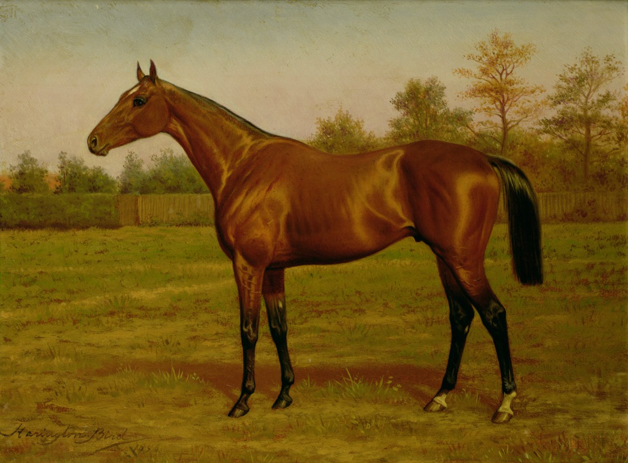 Isinglass, Triple Crown, 1893 door Harrington Bird