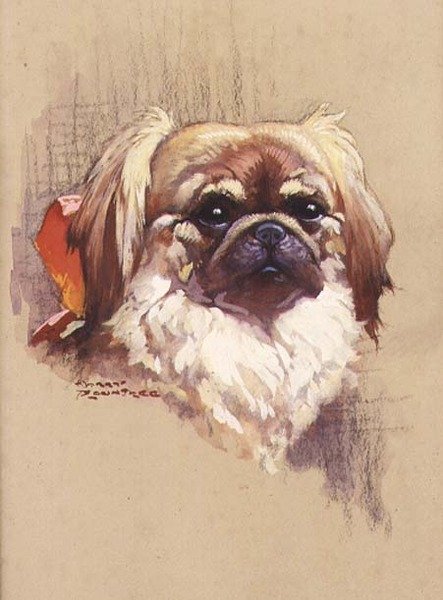 Rood lint door Harry Rountree