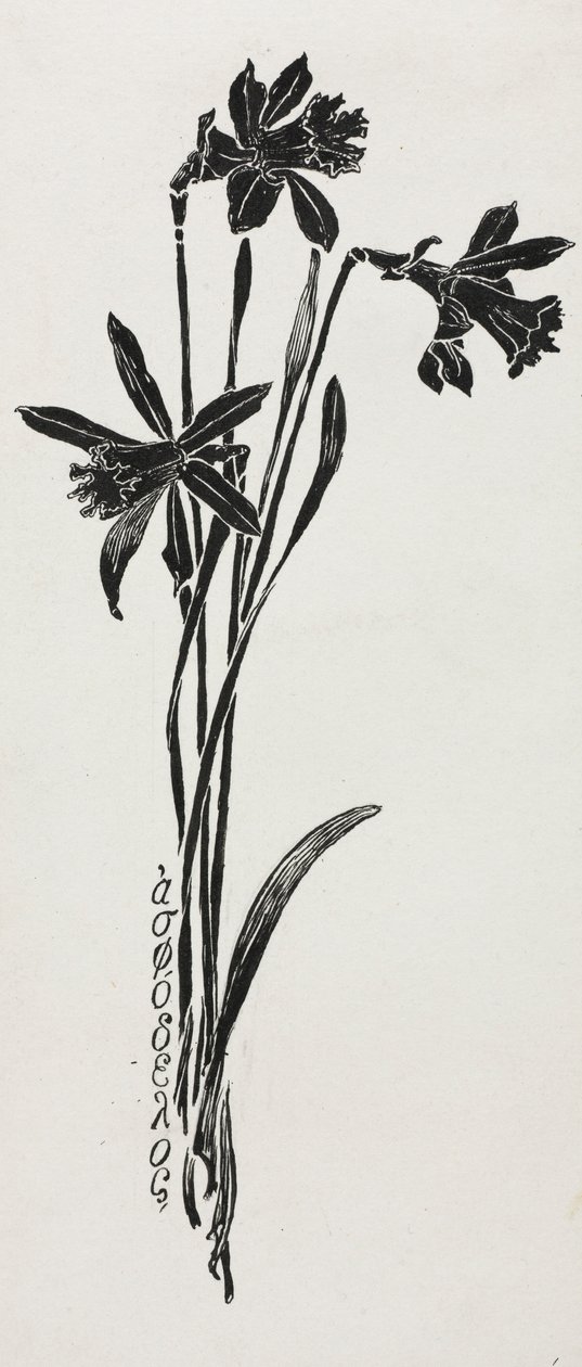 Narcissen door Harry Fenn