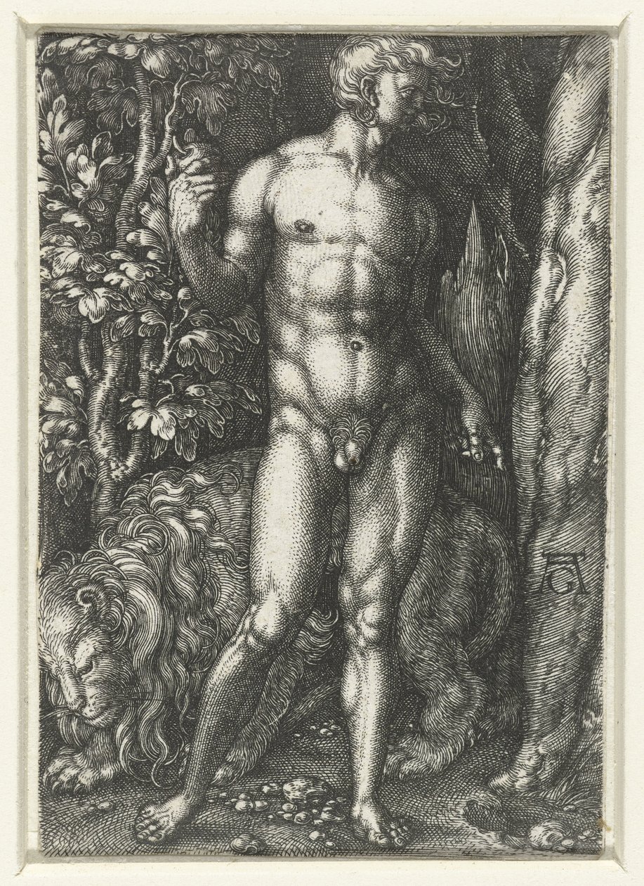 Adam door Heinrich Aldegrever