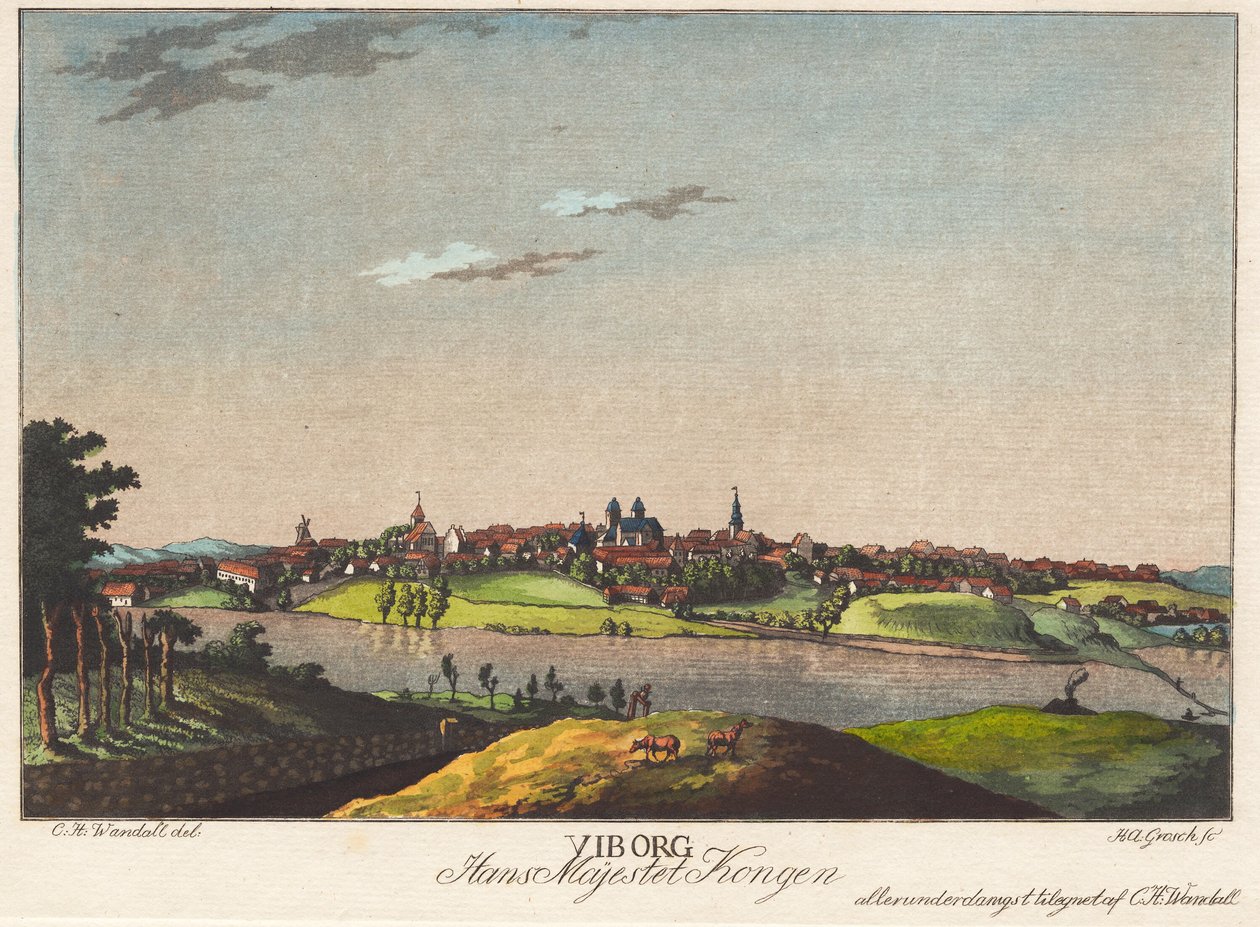 Viborg door Heinrich Grosch