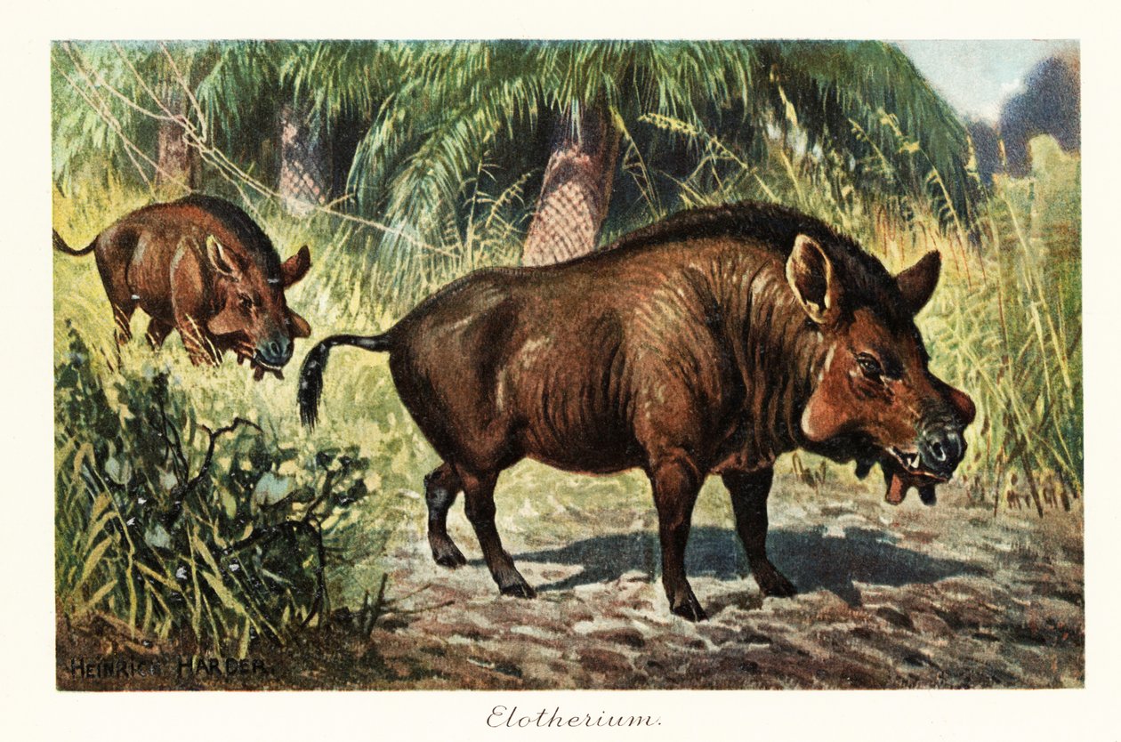 Entelodon, uitgestorven geslacht van entelodont artiodactyl door Heinrich Harder