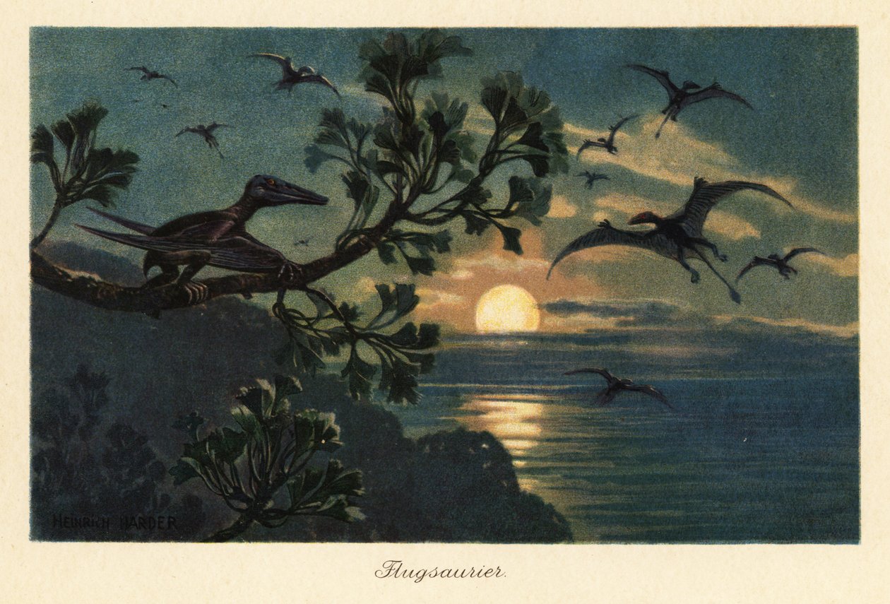 Rhamphorhynchus pterosauriërs vliegend in het maanlicht door Heinrich Harder
