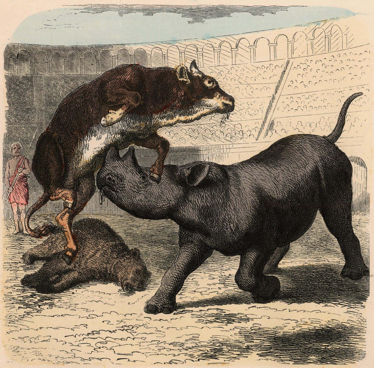 Oud Rome: Dierengevechten in het amfitheater door Heinrich Leutemann