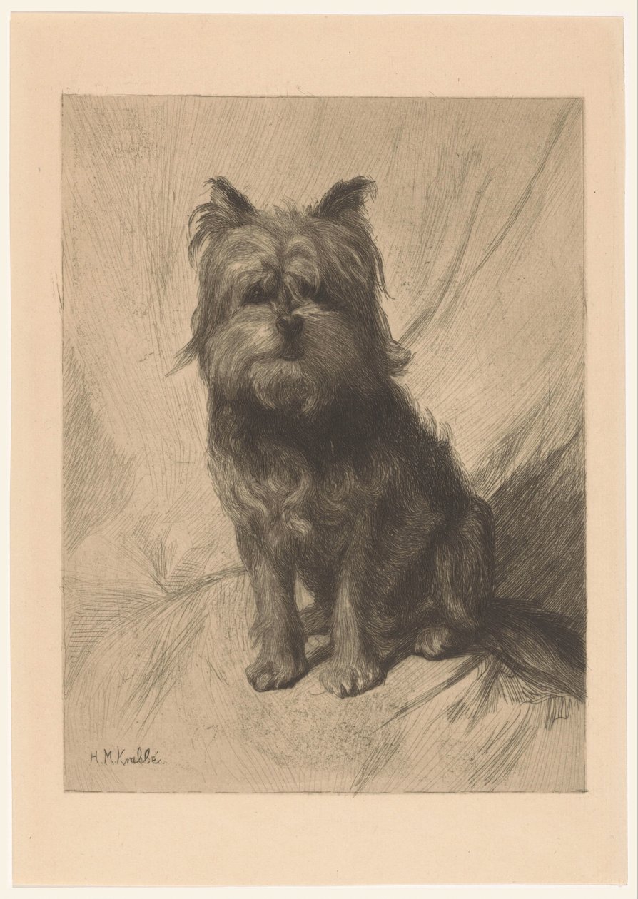 Hollandse smoushond door Heinrich M. Krabbé
