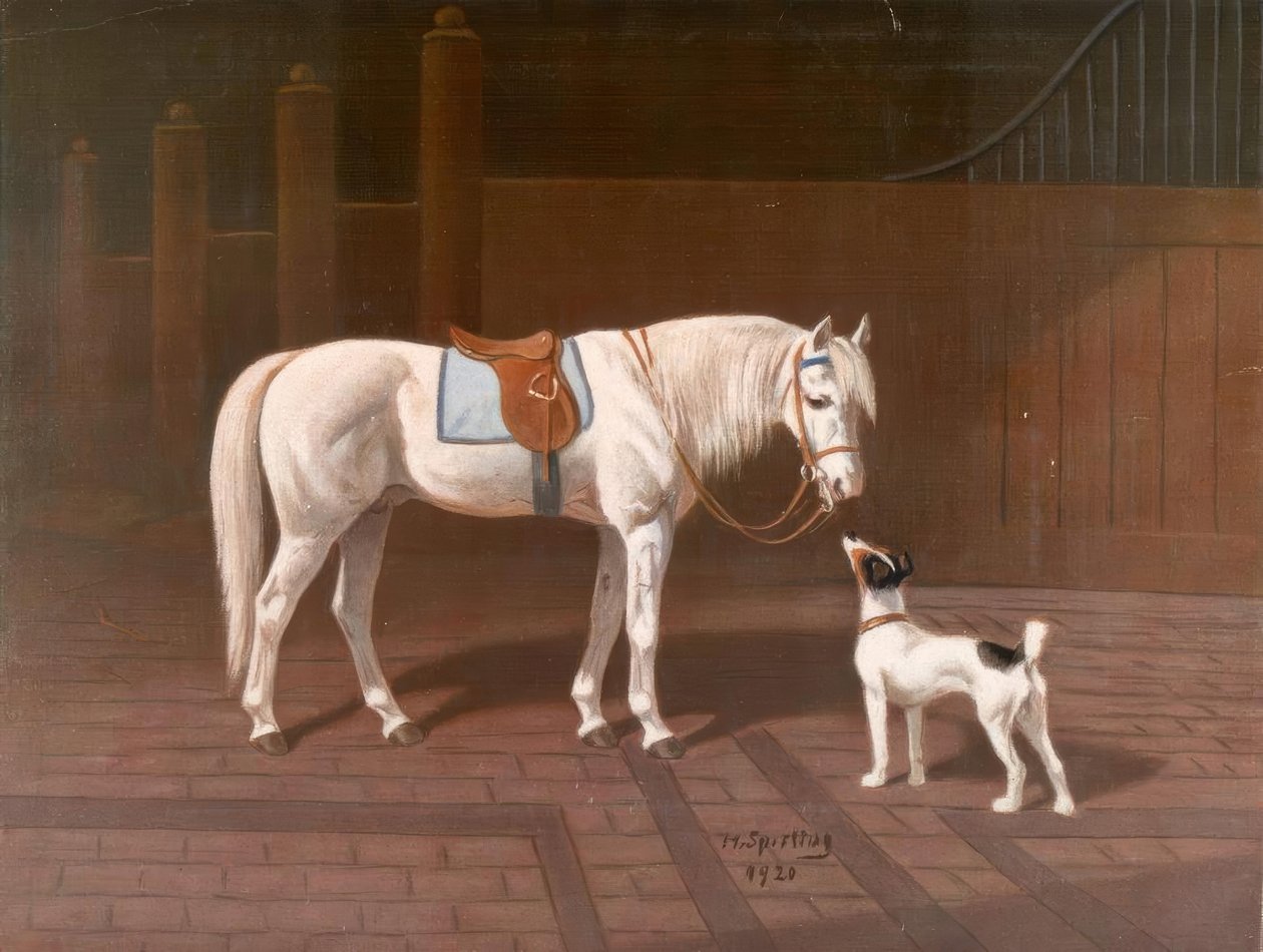 Paard, schimmel / naar H. Sperling door Heinrich Sperling