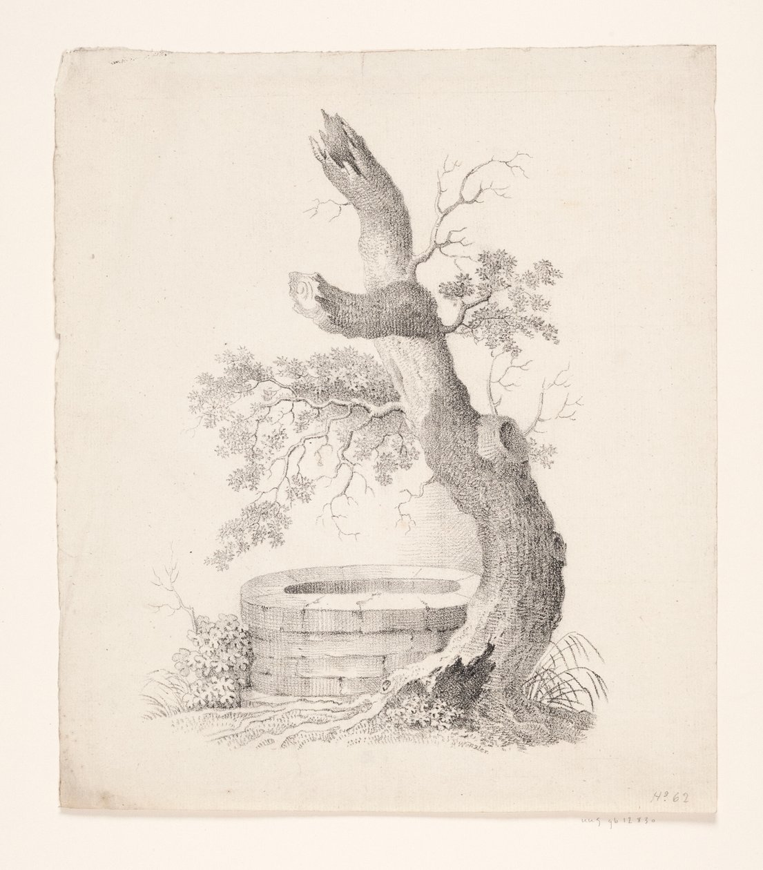 Een oude boom bij een bron door Heinrich Wenzler