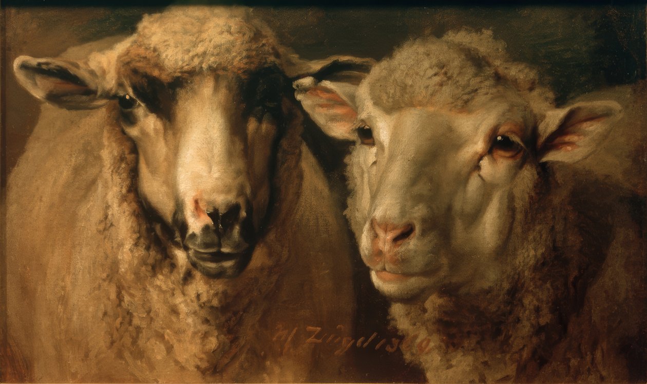 Twee schapen door Heinrich von Zügel
