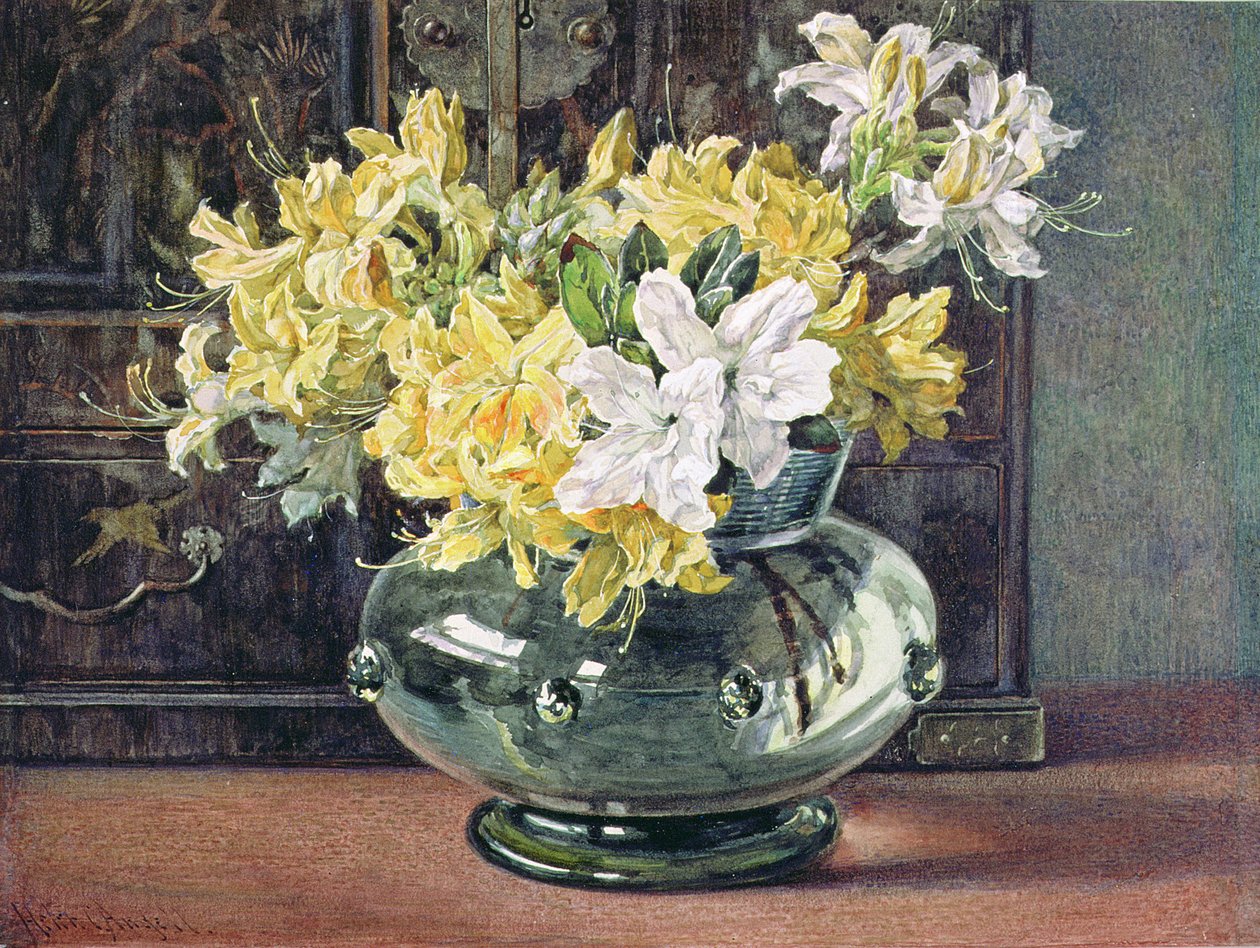 Azalea