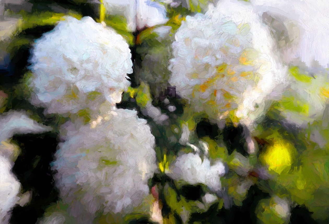 Grote Bloeiende Bloemen, 2018 door Helen White