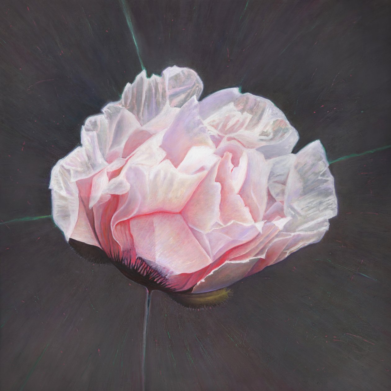 Opkomst, 2015 door Helen White