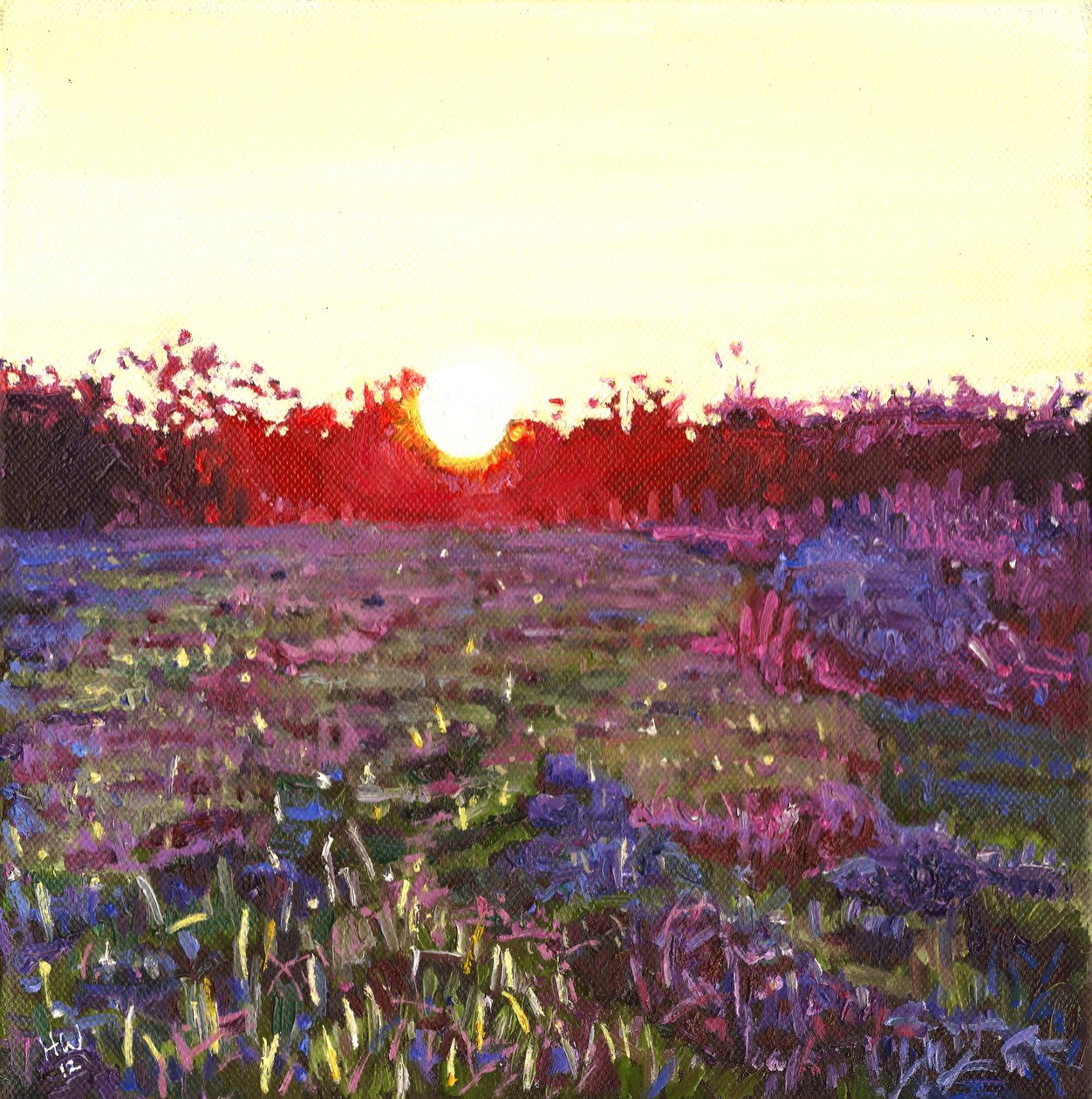 Farley zonsondergang, 2012 door Helen White