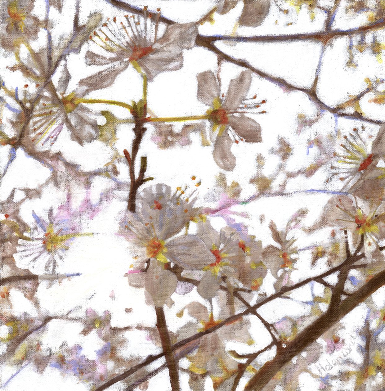 Prelude, 2014 door Helen White