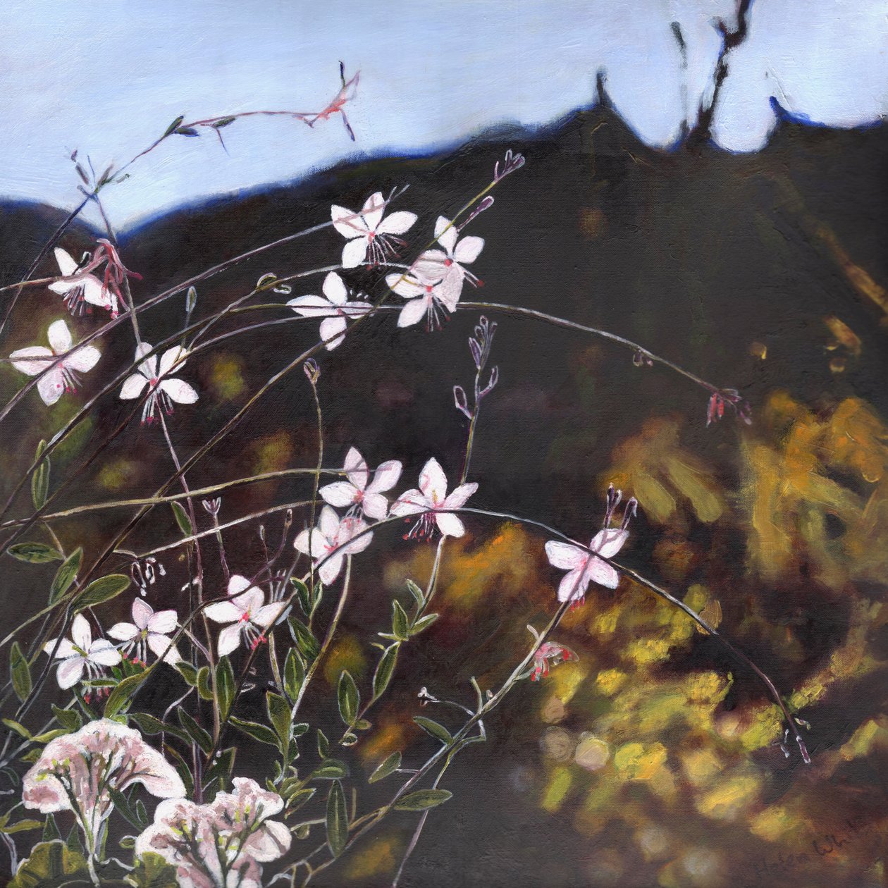 Provençaalse tuin I, 2014 door Helen White