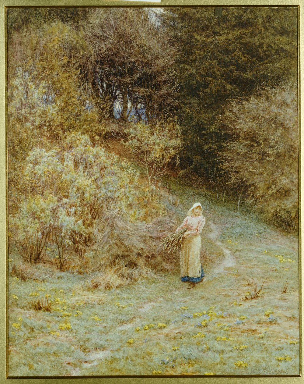 In het Primrose-bos door Helen Allingham