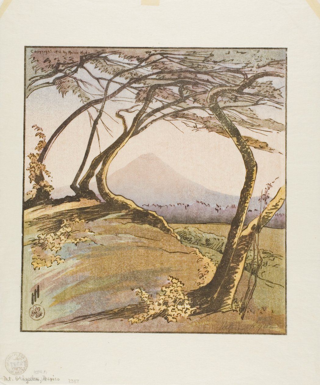 Mount Orizaba door Helen Hyde