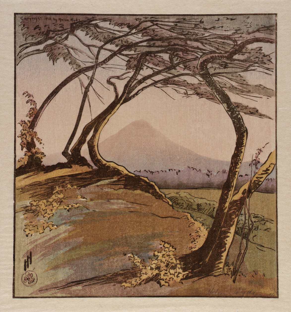 De berg Orizaba door Helen Hyde