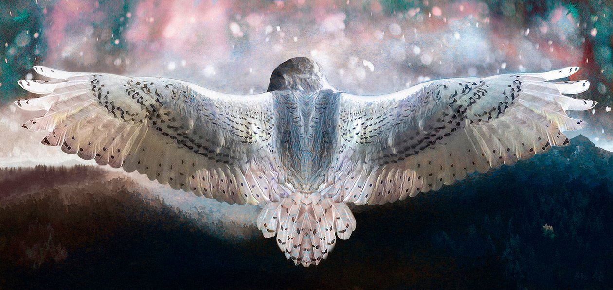 Durf te Vliegen, 2019 door Helen White