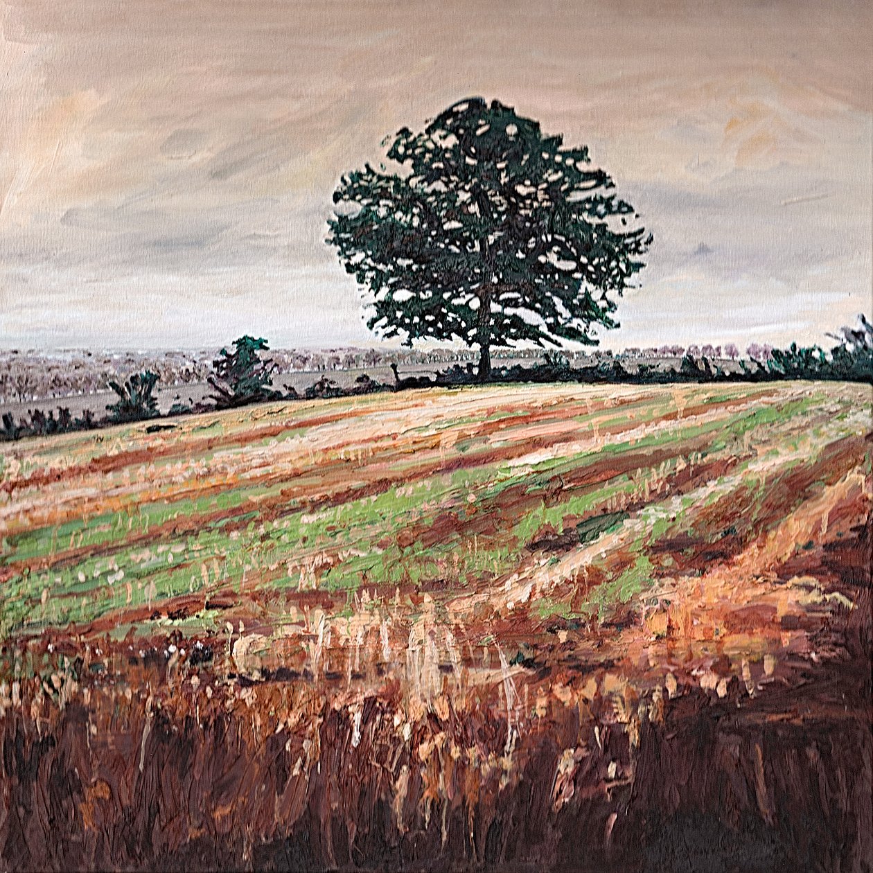 Laat Middagveld, 2009 door Helen White