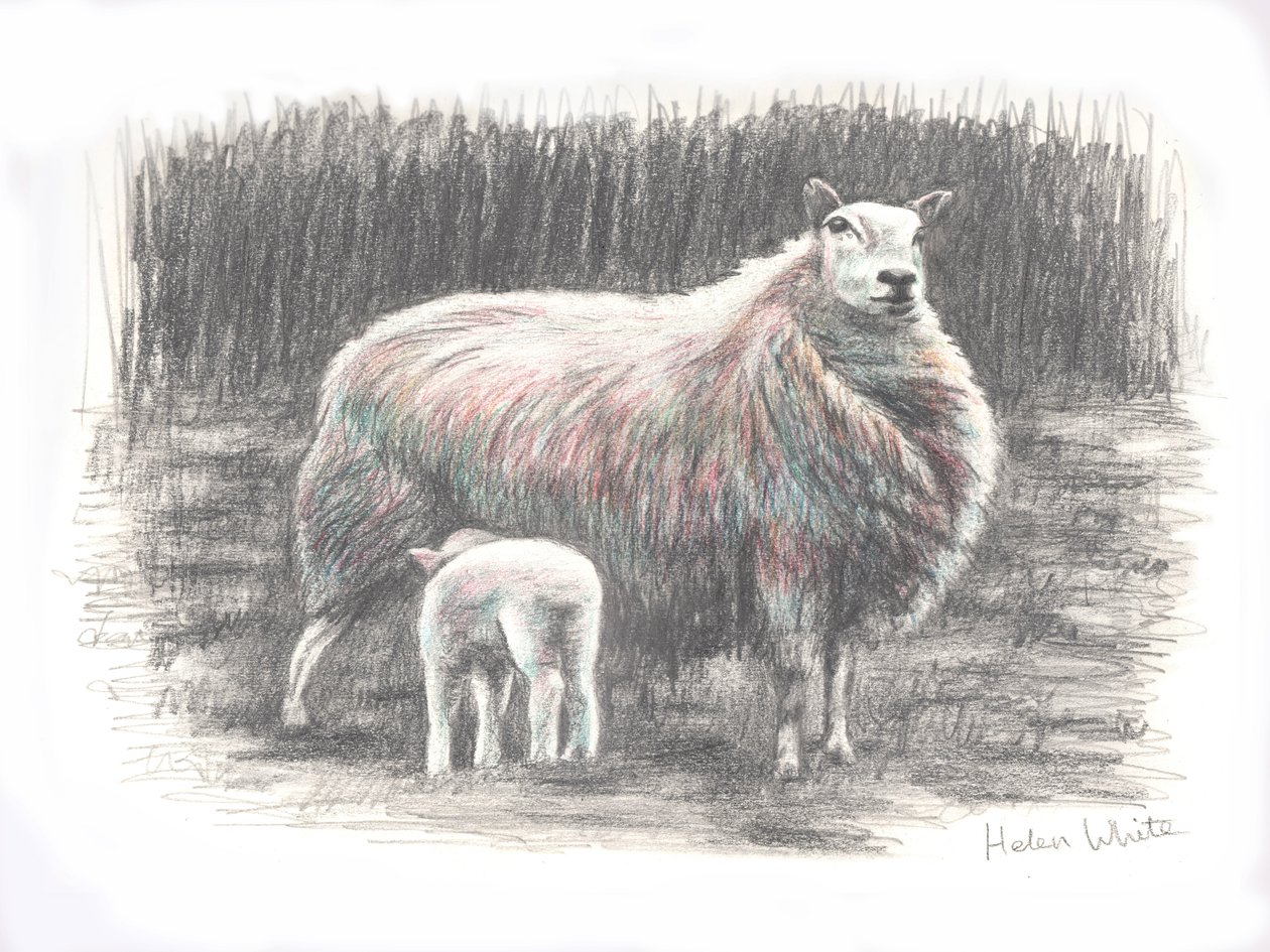 Trots, 2016 door Helen White