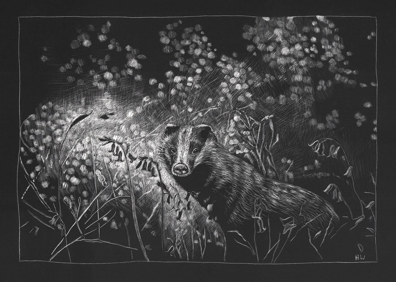 Lente das, 2023 door Helen White