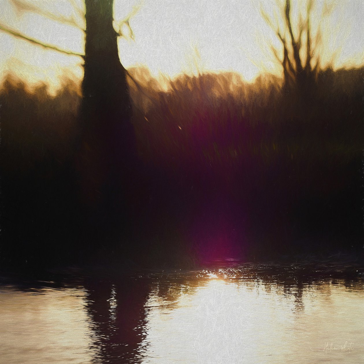 Violette Nevel, 2018 door Helen White