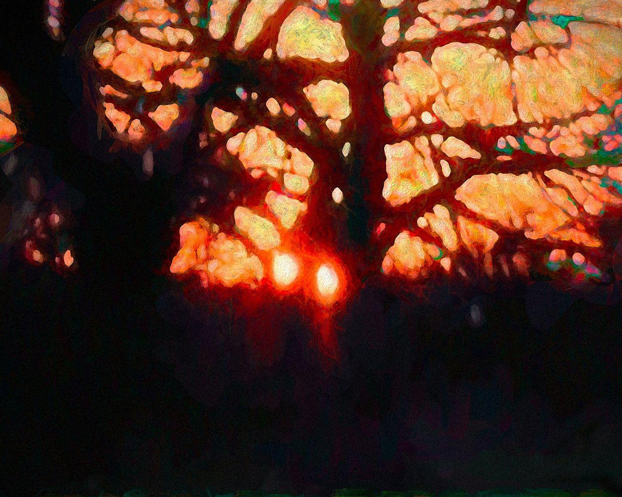 Winterlicht, 2019 door Helen White
