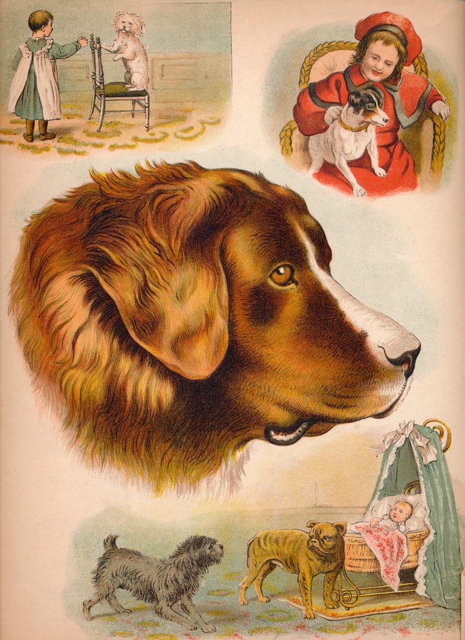 De hond, ca. 1900 door Helena J. Maguire