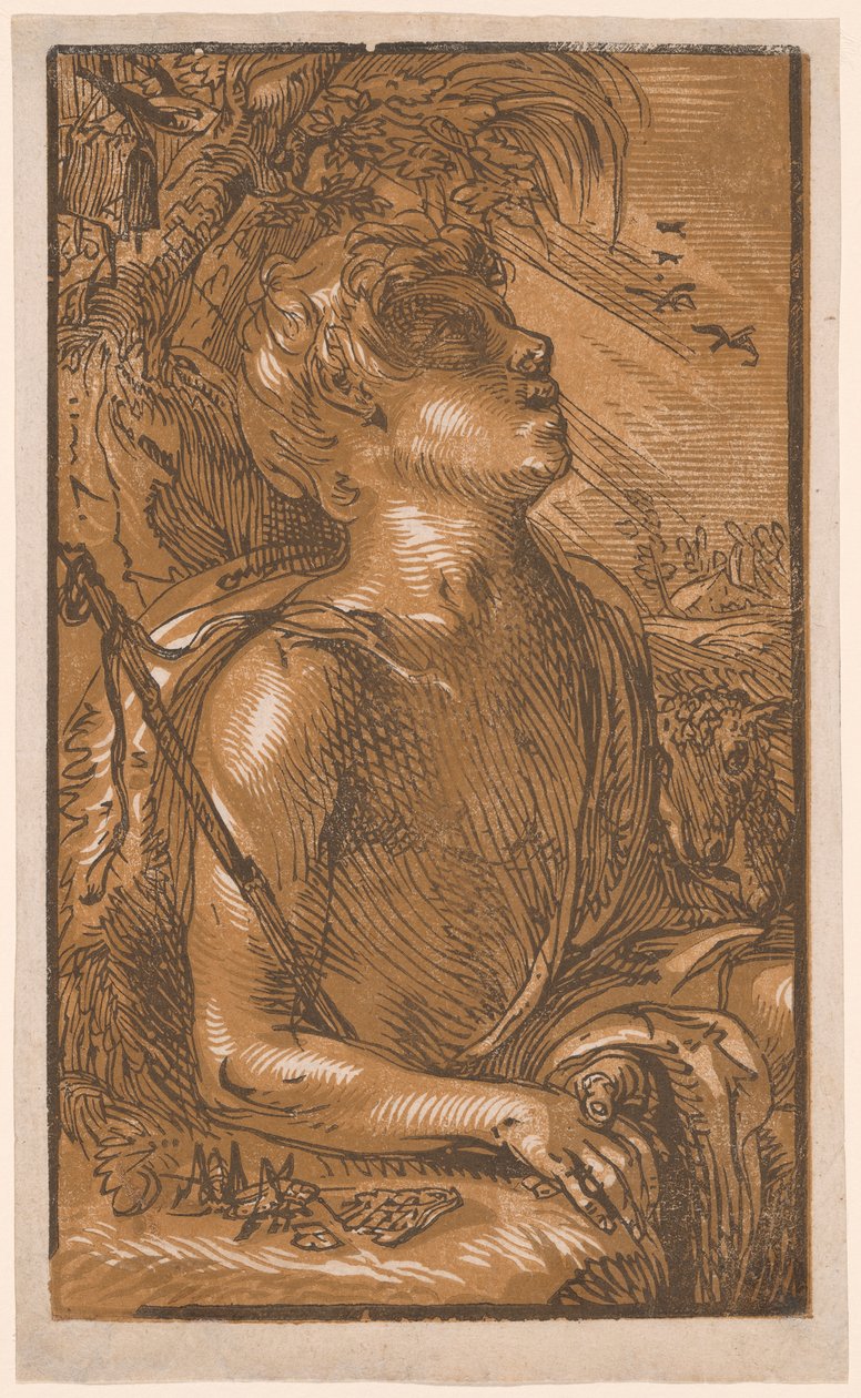Johannes de Doper door Hendrick Goltzius