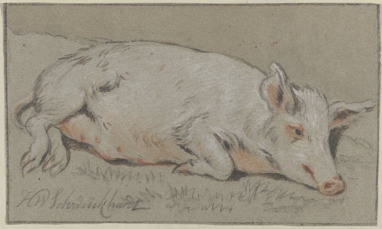 Liggend varken door Hendrik Willem Schweickhardt (signed by artist)
