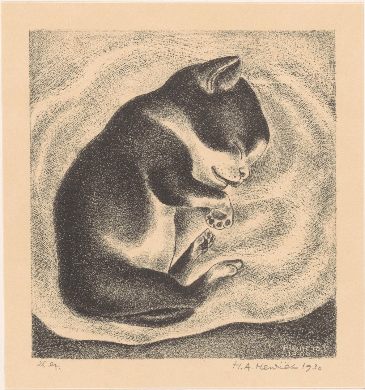Slapende, jonge kat door Henk Henriët (signed by artist)