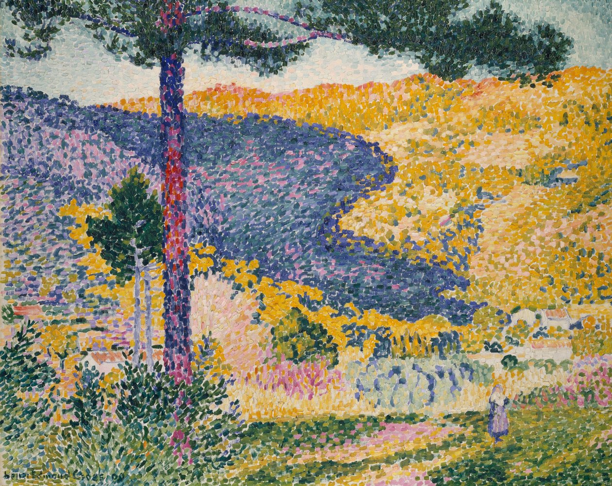 Vallei met spar (Schaduw op de berg) door Henri Edmond Cross