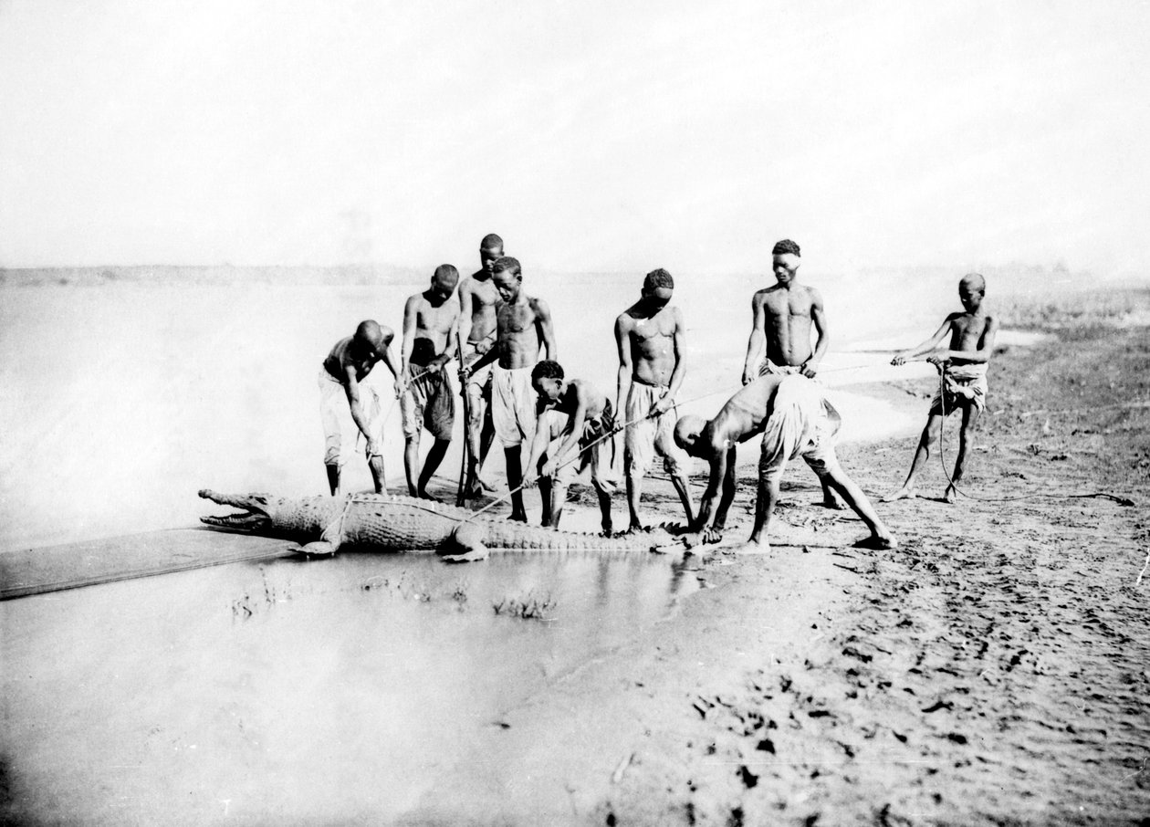 Jacht op een krokodil, Nubië, Egypte, 1887 door Georges Henri Bechard